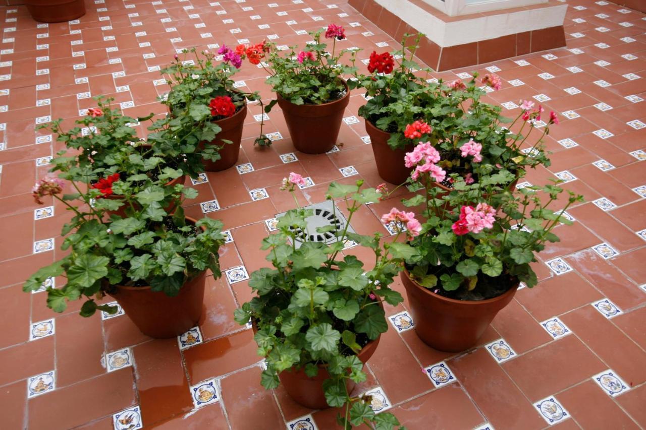 Apartamentos Las Cruces Sevilla Exteriér fotografie